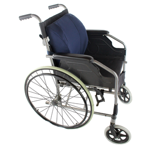 DLG Medic nuovo 2024 Standard cuscino lombare da Messico disponibile nel miglior prezzo di mercato per la vendita - Product Image 1