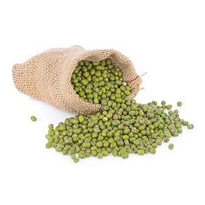Frijoles Vigna Verdes Frescos y Secos, Frijoles Mung, Granos Enteros para Procesamiento de Alimentos y Cocina - Product Image 1