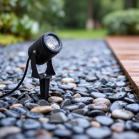 Lumière de jardin extérieure DC 24V 12V, lumière de projection personnalisée, paysage de jardin, étanche IP65, lumière à piquet LED