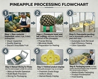 Complete ananasverwerkingsmachineset, pneumatische schil-, ontpitten- en segmenteermachine (dubbelkop), handmatige snijgereedschappen