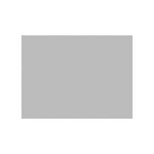 Nappe en papier professionnelle argentée 30x40cm 45gsm 500 pièces B2B - Product Image 1