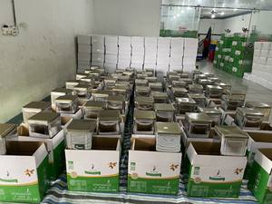 Anacardos crudos de alta calidad al por mayor vietnamita nueva cosecha WW210 WW240 WW320 - Product Image 6