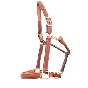 Halter en cuir rembourré doux marron Tack équestre durable supérieur avec matériel en laiton confortable et élégant - Product Image 1