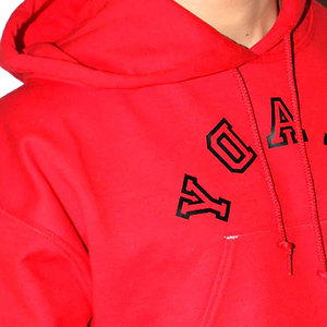 Haute qualité 100% coton Polyester recadrée sweats à capuche haut à la mode vêtements d'hiver teint en plaine avec une faible quantité minimale de commande - Product Image 6