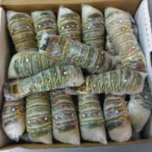 Homards et queues de homard surgelés en gros, emballés sous vide, France, meilleurs prix disponibles, entiers 10kg, livraison rapide, achetez maintenant, en vente - Product Image 6