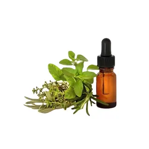 Marjoram Oil 100% Pure Huge Demand Top Selling Organic Best Manufacturer From India Global Exporter Reasonable Price Top Grade