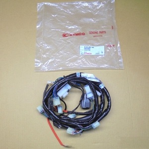 Arnés de cables genuino Kymco 32100-LBA7-900 para ATV Mongoose 250 (LA50AA) - Product Image 1