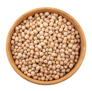 Sprouting and Food Grade Yellow Soybeans Top Quality Dry Soya <b>Beans</b> Non-gmo Soybean - Product Image 1