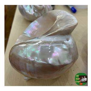 เปลือกหอยเชลล์ตกแต่งแบบเทอร์โบเปลือกหอยเทอร์โบสีเขียว: หอยสังข์ธรรมชาติอันศักดิ์สิทธิ์สำหรับตกแต่งวาสตูเปลือกหอยหอยสังข์ธรรมชาติ - Product Image 2