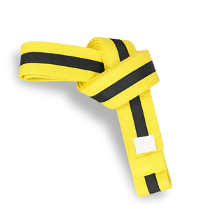 Ceintures de qualité karaté Service OEM logo sur mesure Vente en gros de haute qualité multicolore avec ceinture d'arts martiaux en coton à rayures - Product Image 5
