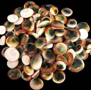 กรอบตาแมวสำหรับตกแต่งงานฝีมือเวียดนามราคาดีที่สุดขายส่งจากเวียดนาม - Product Image 2