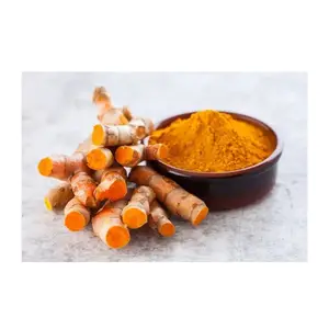 مسحوق استخراج Tumeric طبيعي عالي الجودة في الجملة بسعر الجملة