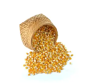 मकई निर्यात मक्का बिक्री के लिए थोक मूल्य प्रीमियम पीला गुणवत्ता सूखे पीले बैग उच्च गुणवत्ता सफेद एडी 20 किलोग्राम