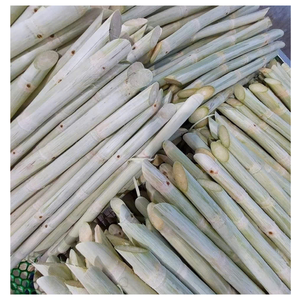 Vietnam frozen sugarcane wholesale whole stalk cane cuts and frozen juice drink - Product Image 6