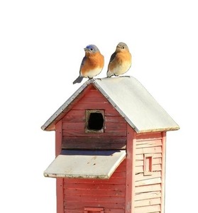 Maison d'oiseau en bois faite à la main mangeoire à oiseaux suspendue extérieure finition naturelle Durable Design rustique mangeoire décorative jardin balcon - Product Image 3