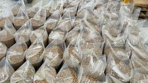 Pellets de Madera Mixta A1 de Alta Calidad, Biocombustible, Trozos de 6-8mm de Diámetro, Entrega a Granel Directa de Origen, Ceniza 5%, Humedad 1% - Product Image 4