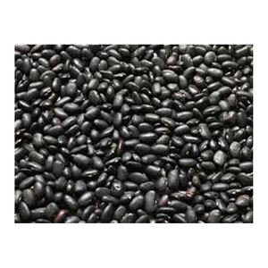 Frijoles de riñón negros oscuros secos al por mayor, frijoles de riñón negros británicos de forma larga para exportar - Product Image 5