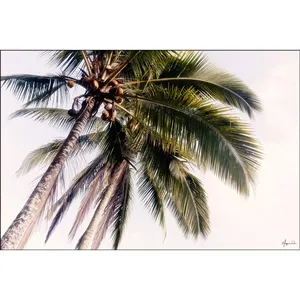 Impresión en lienzo de palmeras de coco Fida vista desde abajo - Product Image 6