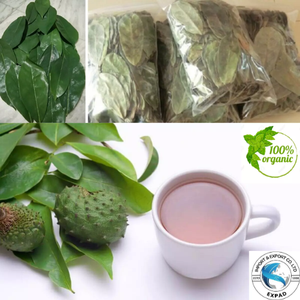 Organic Dried Soursop Leaves, Guanabana, Womens Tea, Natural Herbal <b>Blend</b>, Natural Organic Soursop Guanabana Leaves - Product Image 4