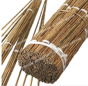 灵活和可持续的原料竹桩/竹藤/农业用竹竿，支持Eco2go制造的植物