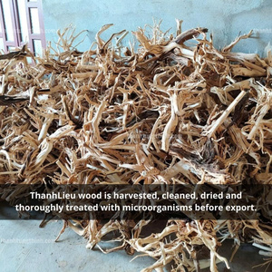 Meilleure vente, ornement en bois flotté naturel de haute qualité pour aquarium, vente en gros, prix fabriqué au Vietnam - Product Image 4