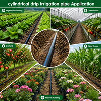 Tuyau d'irrigation goutte à goutte cylindrique encastré rond plat noir commercial en plastique de 16 mm avec espacement de 40 mm pour systèmes d'irrigation agricole