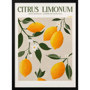 Golden Citrus Delight Patterned <b>Plant</b> Collection - Product Image 3