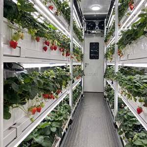 Conteneur de culture de fraises d'intérieur avec système d'irrigation automatisé pour l'agriculture hydroponique commerciale et la production de baies fraîches - Product Image 4