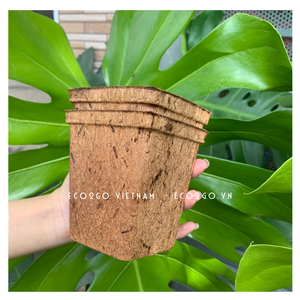 Fibre de coco biodégradable 100% organique/Pots de coco coco/Pots de plantes en fibre de coco d'Eco2go Vietnam - Product Image 5