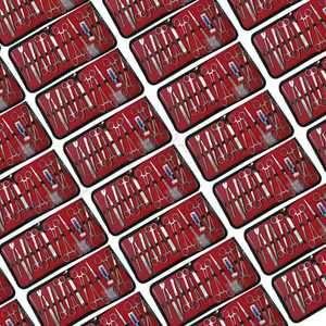 40 Kits de Instrumentos Quirúrgicos Veterinarios Básicos de Acero Inoxidable de Grado Quirúrgico, Autoclavables Manualmente, Herramientas de Cirugía Animal - Product Image 2