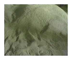 Poudre d'algues vertes du Vietnam Ascophyllum Nodosum Engrais de qualité supérieure Qualité d'exportation Poudre d'algues vertes prête pour la vente en vrac - Product Image 1