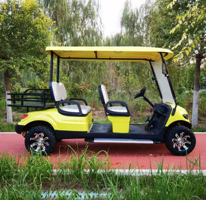 Vente chaude Voiturette de golf électrique à moteur AC 48V 8 places couleur personnalisée homologuée pour la route 72 volts Gulf Cart - Product Image 1