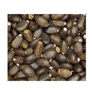 เมล็ดจาปาตามธรรมชาติเมล็ด100% แห้งผลิตจากโรงงาน - Product Image 2