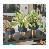 Alam Buatan Tangan Alami Pot Bunga Rotan Tanaman Berdiri Pekebun Untuk Teras Ruang Tamu Balkon Kafe Taman Digunakan untuk RUMAH & Restoran