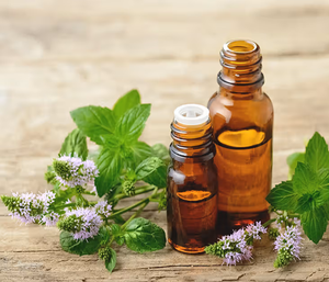 น้ำมันหอมระเหยเปปเปอร์มินต์ (Mentha Piperita) ขายส่งจำนวนมาก น้ำมันหอมระเหยธรรมชาติ ให้ความเย็นสบาย สำหรับเครื่องสำอาง สปา นวด และการทำเทียน - Product Image 1