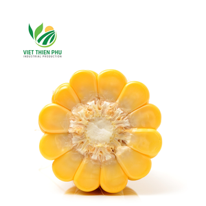 OFERTA CALIENTE MAÍZ CONGELADO DE ALTA CALIDAD, 100% NATURAL DE VIETNAM - Product Image 4