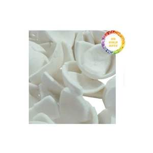 Viande de noix de coco congelée naturellement blanche Propre et sûre Aucun blanchiment nécessaire Facile à utiliser pour les smoothies, les desserts et la cuisine - Product Image 2