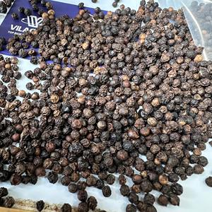 Vente directe d'usine Poivre noir pur 550GL Épice déshydratée Entière Stérilisée à la vapeur Transformation brute Norme d'exportation / ANNA DO - Product Image 2