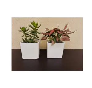 Wholesale ceramic Plant Pots Outdoor Planter Suppliers Cute Indoor Sale Large Garden Vases Flower Pot hot seller