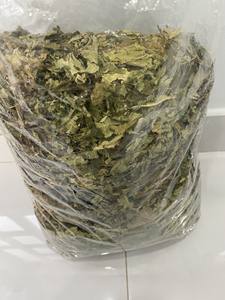 Top Extrait de feuille de papaye séchée Poudre de papaye séchée Vente en gros PRODUITS AGRICOLES Herbes DU Viet Nam - Product Image 5