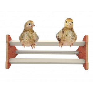 Perchoir poussin en bois 22x60x22 cm - Product Image 1