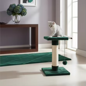 Amistar ใบจอยแมวที่มีคุณภาพสูงสำหรับแมวทุกสายพันธุ์และขนาด - Product Image 5