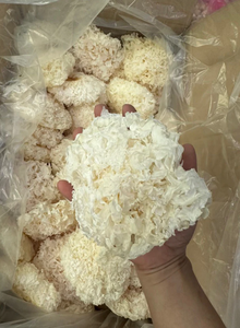 Chất lượng cao mặt trời khô tuyết nấm từ Việt Nam tự nhiên mất nước trắng Tremella cho ẩm thực sử dụng và xuất khẩu cung cấp - Product Image 6