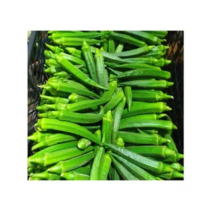 Good Price Fresh Crop Wholesale Natural Product Fresh Vegetables Best Quality Okra Available in Ready Stock