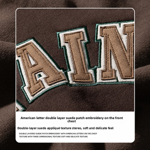 Sudadera con capucha de algodón de alta calidad para mujer al por mayor, sudaderas pesadas de invierno 2025, jersey para mujer - Product Image 4