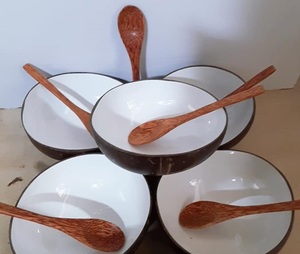 Tazón de cáscara de coco ecológico, hecho a mano para hogares sin residuos, reutilizable y compostable, ideal para cuencos de batidos a granel - Product Image 6