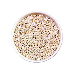 Grano de Cebada Seca Orgánica al por Mayor, Stock a Granel, Grado Premium, Cebada Decorticada para Supermercados y Distribuidores - Product Image 3