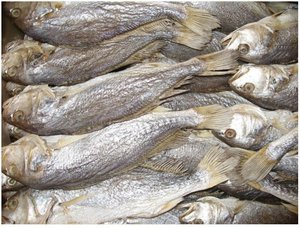 Pescado seco natural de calidad exportado de Vietnam - Product Image 3