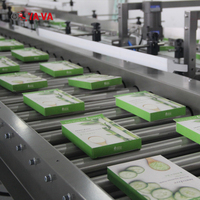 Vente flash YA-VA Système de convoyeur à rouleaux en acier de haute qualité, antistatique, vitesse réglable, 380V, entretien facile, garantie 1 an, neuf