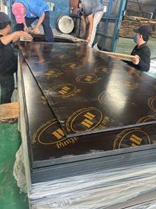 Contreplaqué filmé noir/marron écologique de qualité supérieure, fabriqué en usine vietnamienne, 12/15/18/21 mm, E0, mélamine phénolique pour la construction - Product Image 5